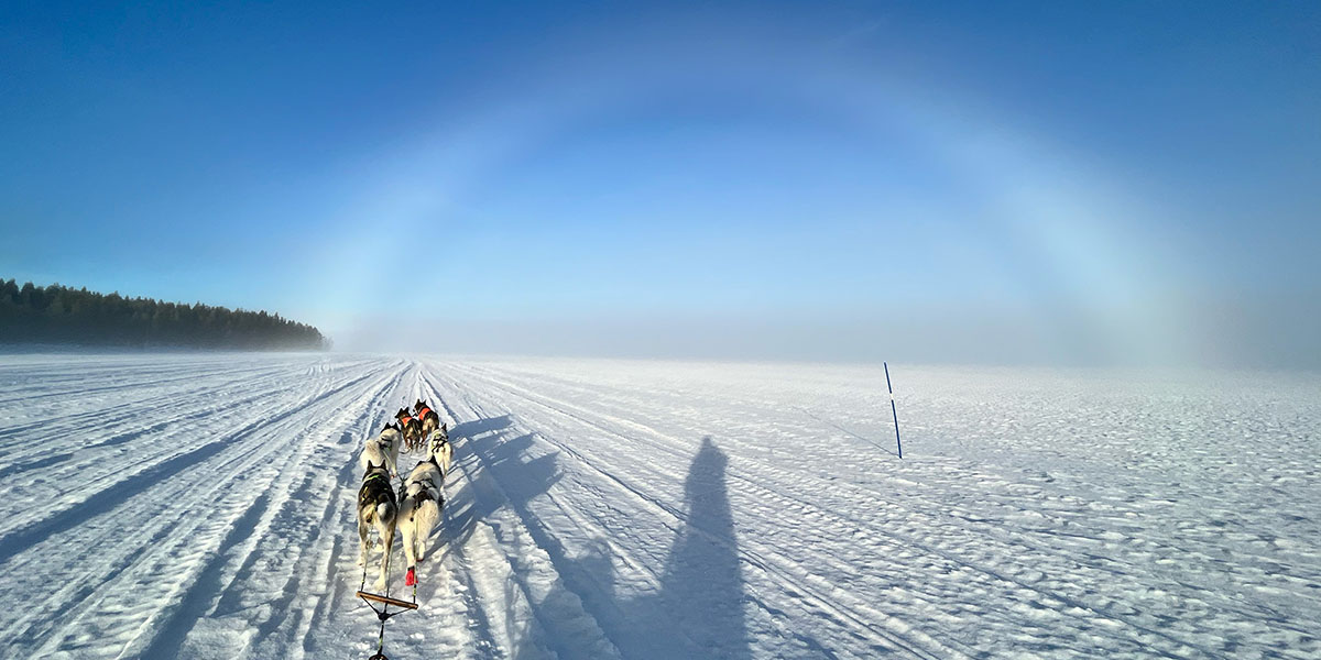 Sechs Huskys welche einen Schlitten unter einem klaren blauem Himmel, auf eine breite festgefahrene Spur über einen zugefrorenen See ziehen.