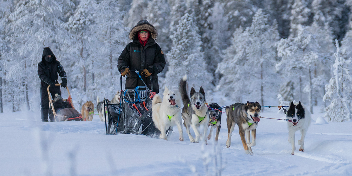 Yvonne welche auf einem Schlitten steht, welcher wiederum von fünf Huskys an Bäumen vorbei, durch eine Schneebedeckte Landschaft gezogen wird, mit zwei weiteren Personen im Hintergrund welche ebenfalls auf einem Schlitten steht und sitzen.