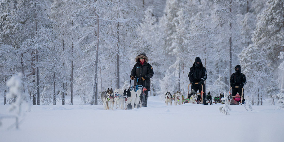 Yvonne welche auf einem Schlitten steht, welcher wiederum von Huskys durch eine Schneebedeckte Landschaft gezogen wird, mit Schnee bedeckten Bäumen im Hintergrund und vier weiteren Personen, welche ebenfalls auf zwei Schlitten steht und sitzen und ihr folgen.