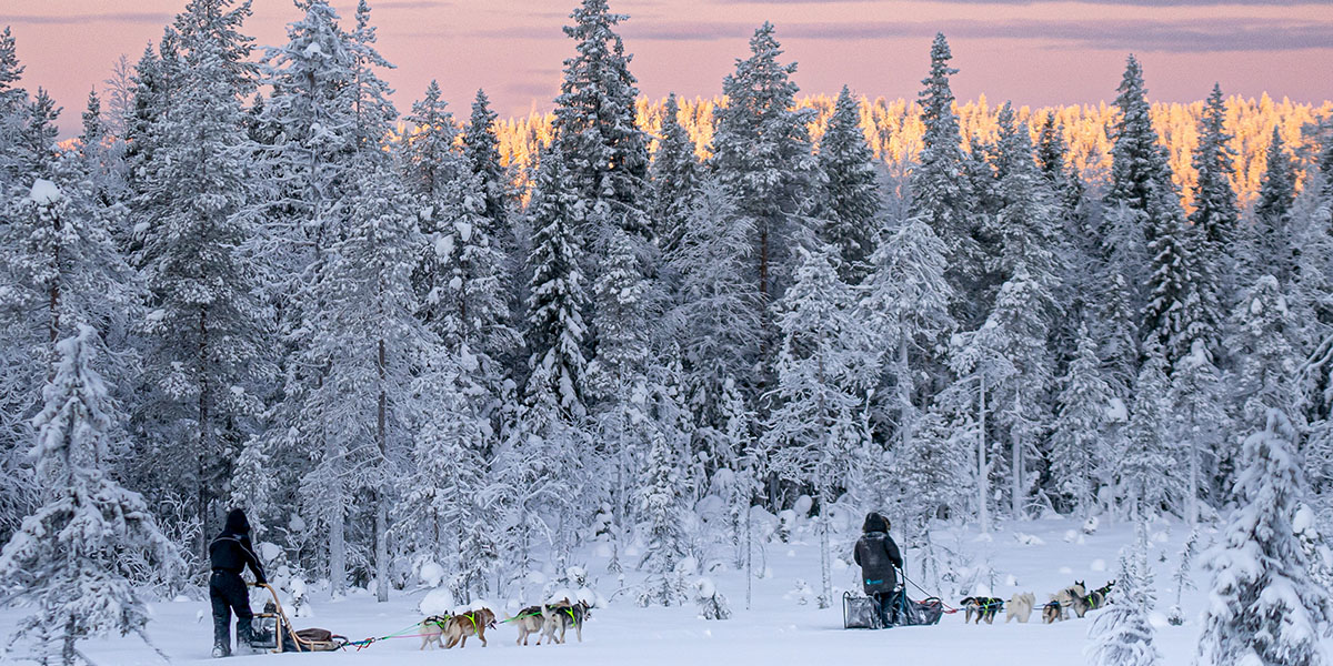 Zwei Personen die auf zwei von Huskys gezogenen Schlitten vor einem mit Schnee bedeckten Wald vorbeifahren, mit außerdem einem vom Licht eines Sonnenuntergangs angeleuchtetem Wald im Hintergrund, hinter dem ersten.