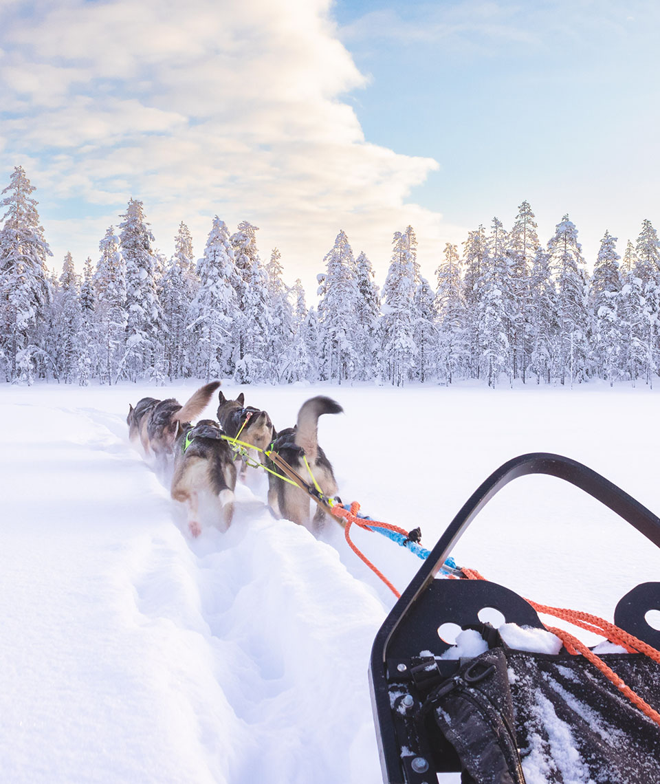 Fünf Huskys von hinten welche, unter einem halb mit Wolken bedeckten, blauen Himmel einen Schlitten durch tiefen Schnee in Richtung schneebedeckter Bäume ziehen.