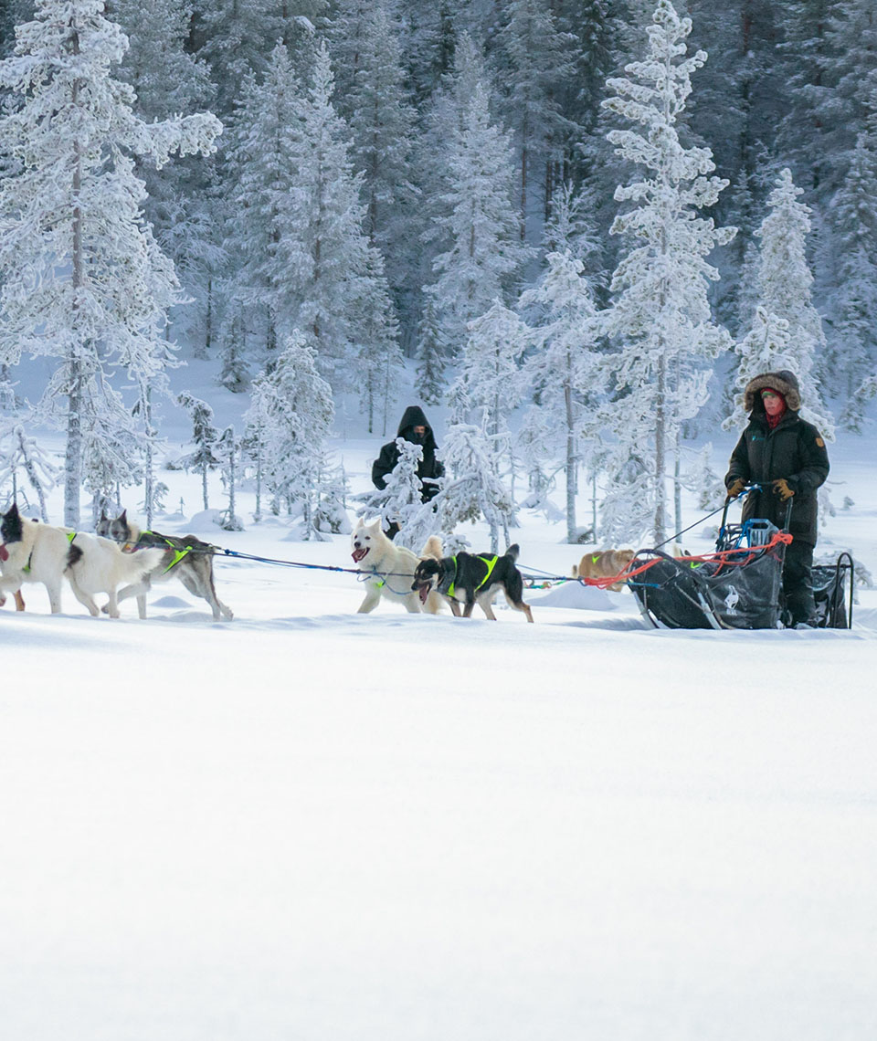 Yvonne welche auf einem Schlitten steht, welcher wiederum von mindestens vier Huskys an Bäumen vorbei, durch eine Schneebedeckte Landschaft gezogen wird, mit einer weiteren Person im Hintergrund welche ebenfalls auf einem Schlitten steht.